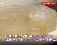 Московские ученые разработали первый в России фантом для МРТ плода, который имитирует органы, ткани и части тела человека.